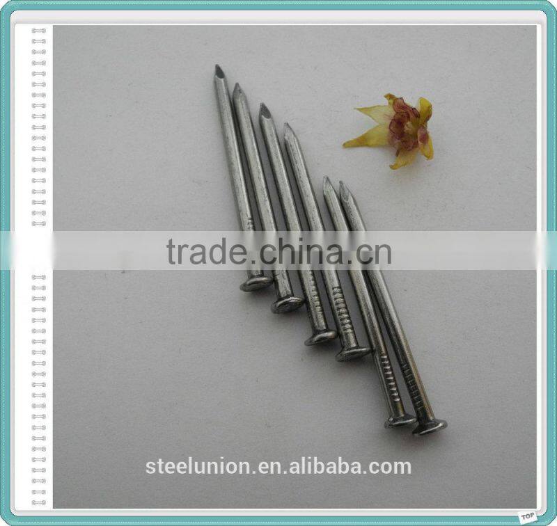 Factory Common Wire Nail/Common Nail for Construction/Common Nail