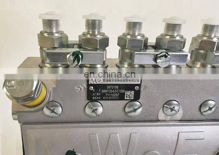 6BTA Engine Parts Wuxi Weifu Fuel Injection Pump 6AW133 3973198