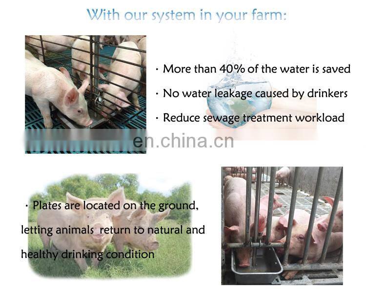 pig farm equipment sow drinking system sow drinking water plate with water level controller