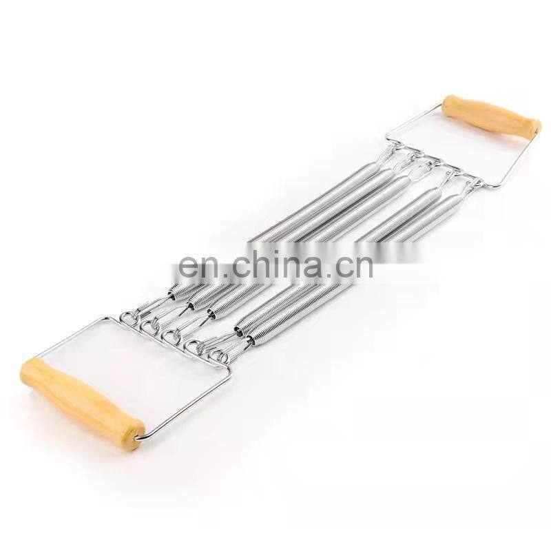 Best Chest Expander resistance Muscles Exercise Portable Workout Equipment Spring Gym Chest Developer Expander pull up device