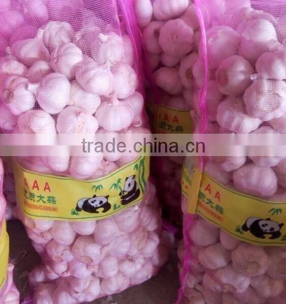 China garlic pric
