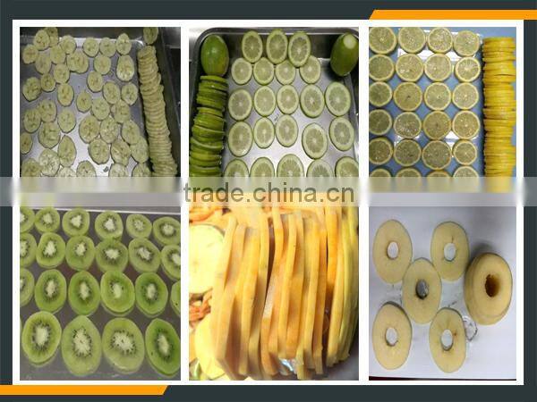 Leader kiwi slicing machine with CE&ISO