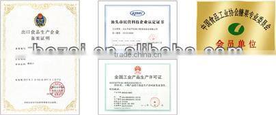 Compressed Paper Chew Mint Candy