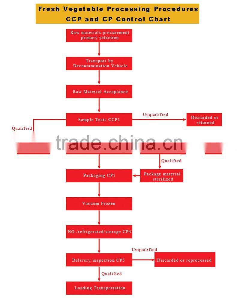 Fresh Broccoli_ Good Quality frozen broccoli spears