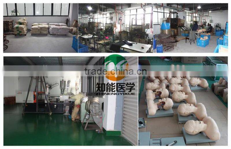 Ear Needles Acupuncture Model BIX-Y1016