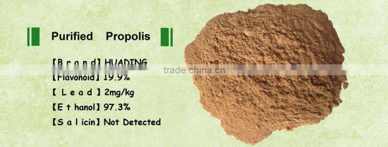 Bee Propolis Powder for sale| Offer Propolis Products