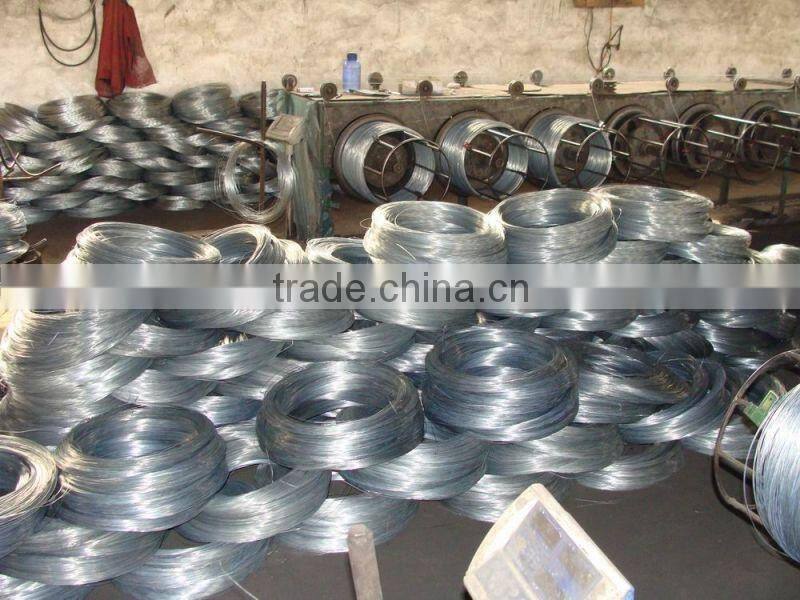 10 gauge electro galvanized iron wire/galvanized wire