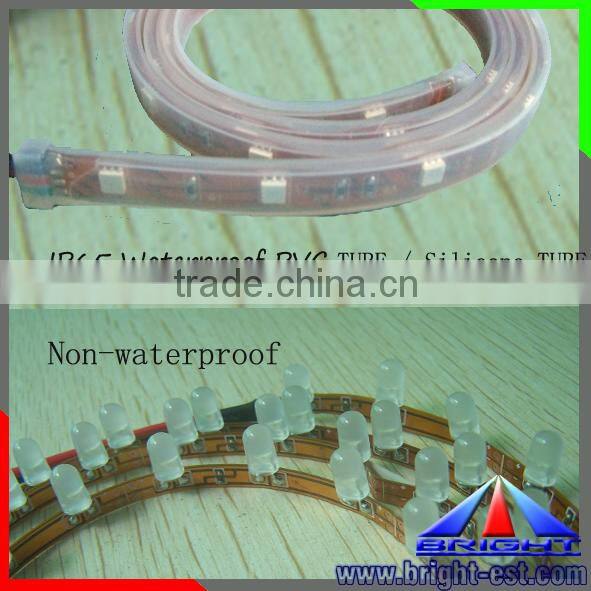 12 volt Great Wall strips led lights, 24,48,96,120 leds led lamp