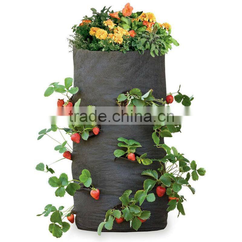 Recycled Pop -Up Strawberry Planter For Garden Planting