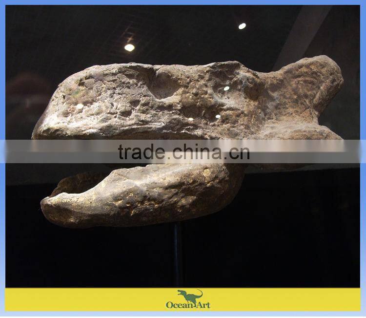 museum artificial skeleton dinosaur skull fossil artwork