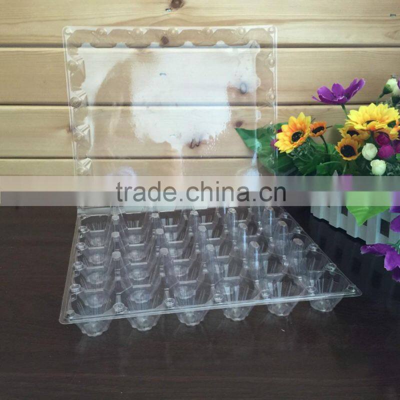 Plastic quail tray quail egg packaging quail egg cartons for sale