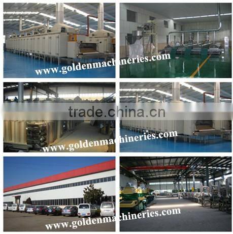 High Automatic Salty Peanut Inshell Production Line Snack Salting Machine