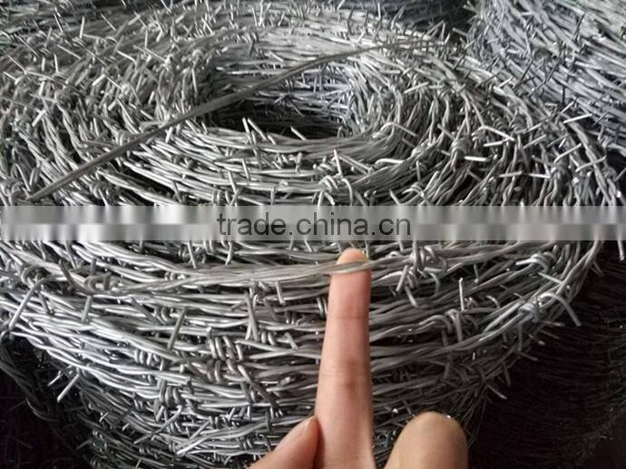 ( iso9001 factory,SGS)best quality galvanized barbed wire coil for fence