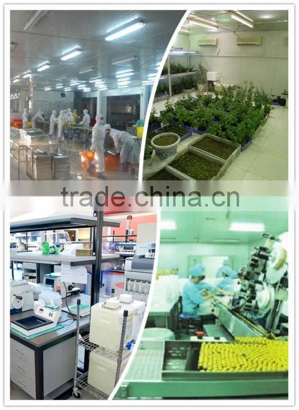 RY-1000M Industrial Food Desiccant Dehumidifier