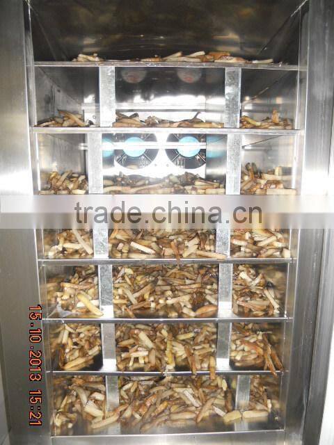 fried potato chips line from inber factory