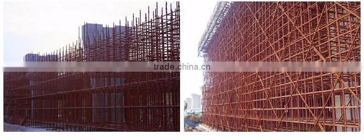 Excellent quality powder coating cuplock scaffolding