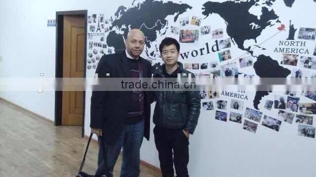 automatic price coffee power bag packing machine