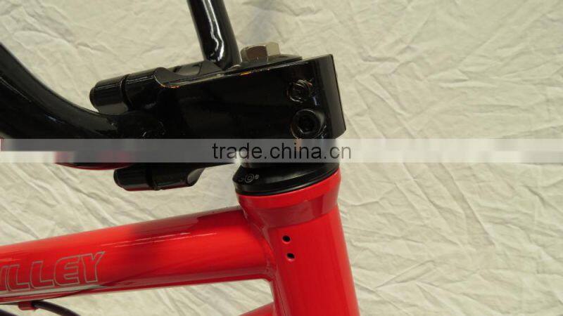 Taiwan Quality Freestyle Bike 20 Inch BMX CR-MO Frame