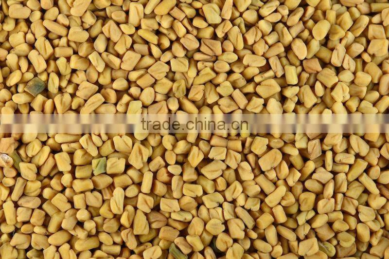 Fenugreek seeds