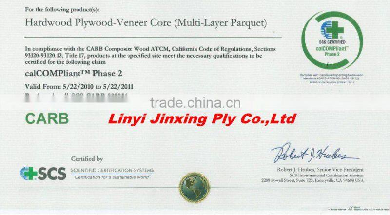 Shandong High Quality White Melamine Plywood with Low Price