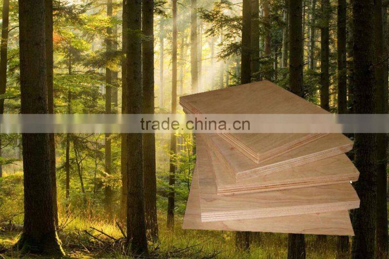 Fancy veneer white oak plywood with hardwood core