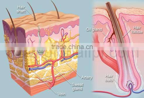 best things to sell laser hair removal process made in China
