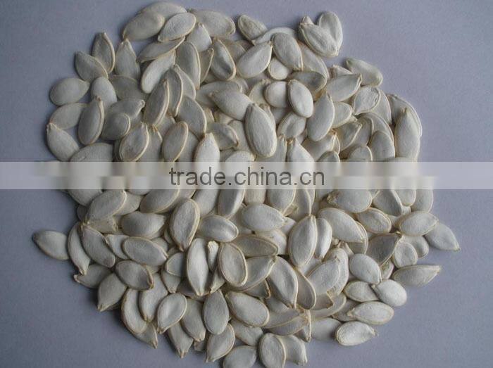 Snow White Pumpkin Seeds in shell