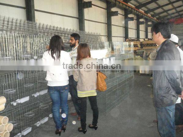 Poultry Farming Chicken Cage System