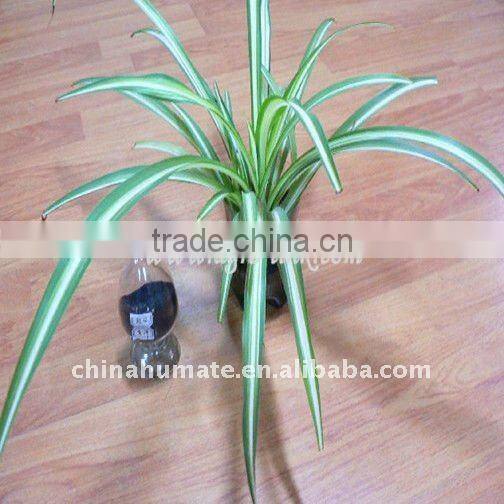 solid sodium humic acid (HA-Na) muck