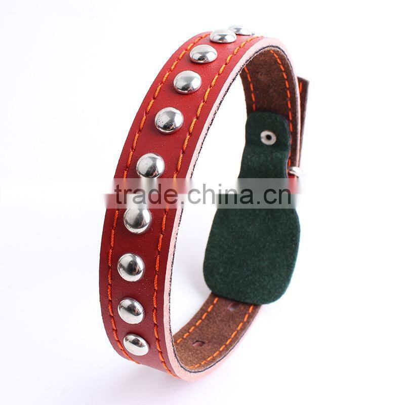 fashionable led dog collar with leash