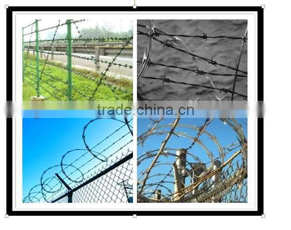 barbed wire razor wire mesh wall spike