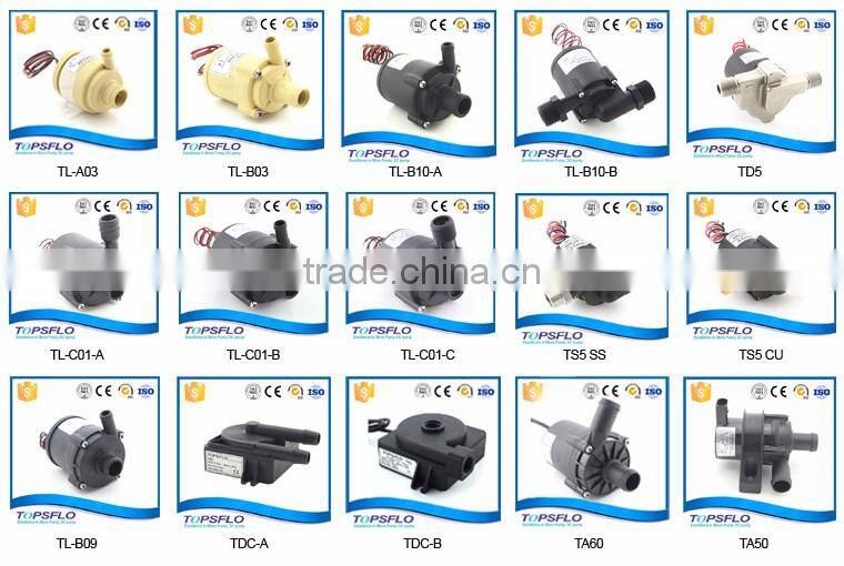 Experienced Mini pump China Supplier