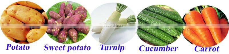 Manual Tornado Potato Twist Cutter Spiral Potato Slicer Potato Machine with 2pcs Blades