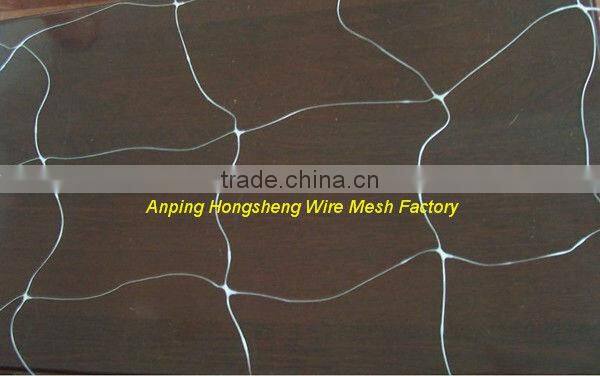 The best selling Plastic plant climbing nettings