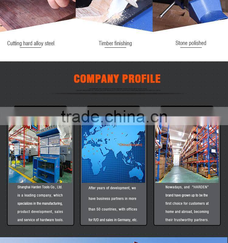 Professional 10Pcs Needle Files Set