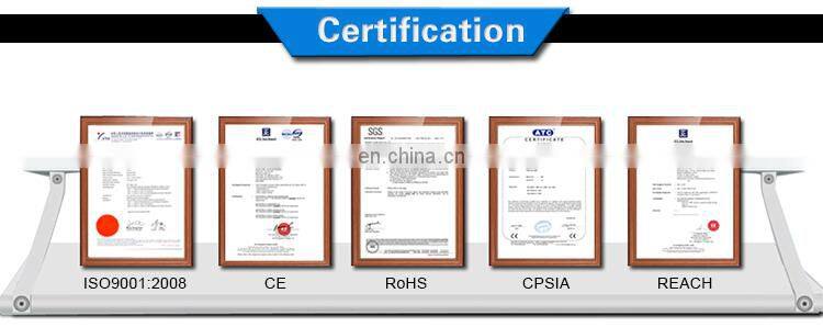 Products 10M 100 LEDs Remote Controlled Led String Lights