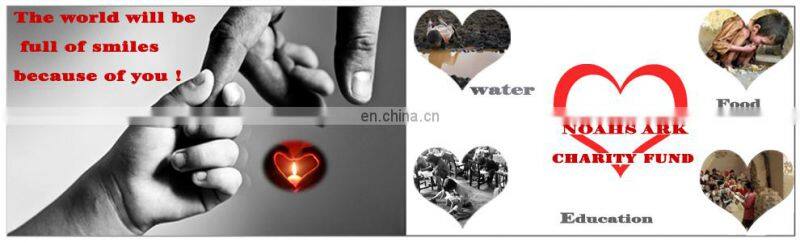 Special new design fashion long double feather earrings for girls