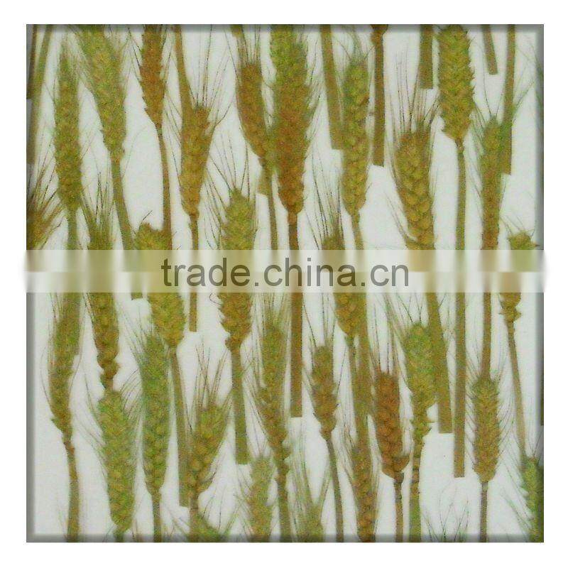 transparent polyester resin sheet partition