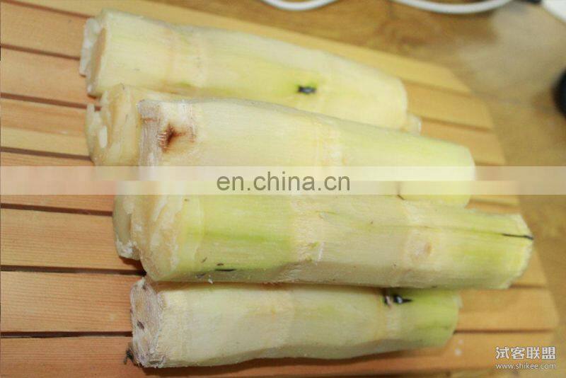 Automatic sugarcane peeling and processing machine and skiving machine