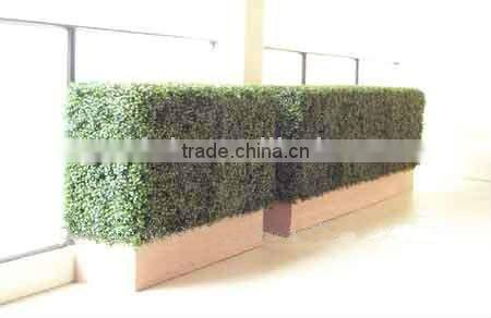 artificial boxwood hedge in sell