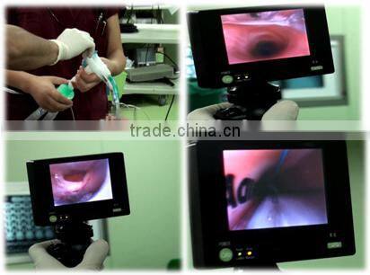Little animal gastroscope bronchoscope3.8mm portable flexible reusable video veterinary endoscope