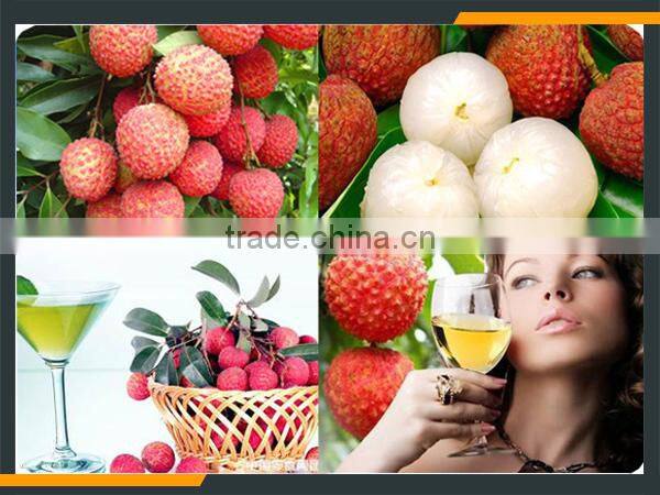 Leader stainless steel litchi fruit process line with CE & ISO
