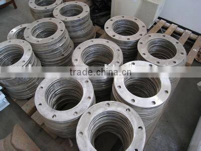 stainless steel forging flange