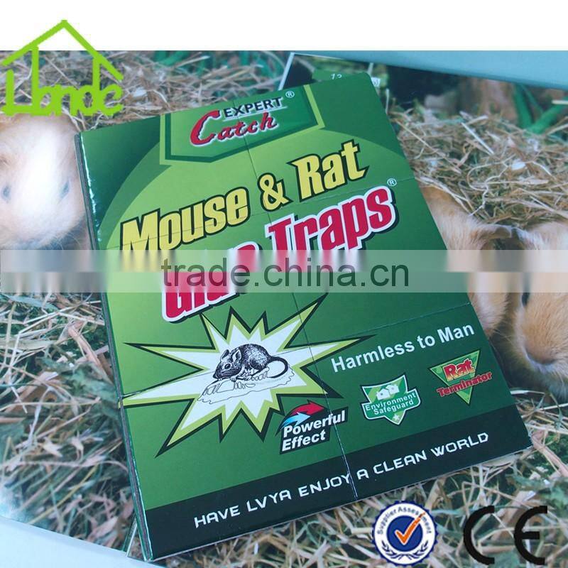 Rat Glue Trap Station HD03647