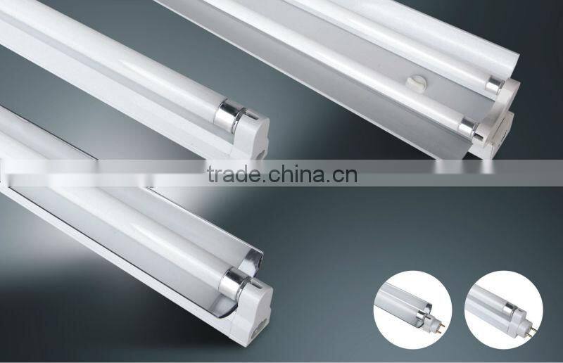 6500K Cool white fluorescent lamp T8 36W