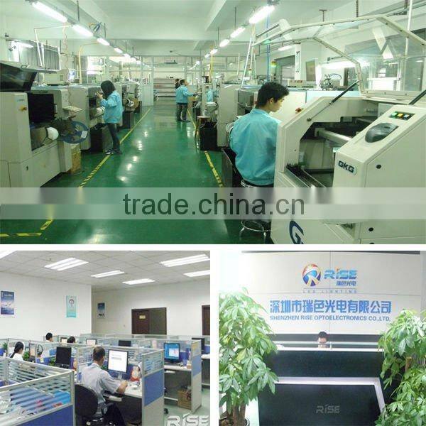 New design outdoor ip67 spot led spike for decoration