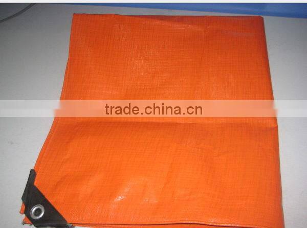 clear color&UV treated pe laminated screen house fabric