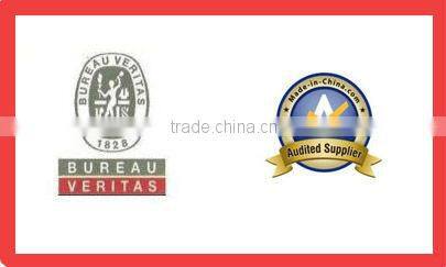 2013 Fashion custom embroidered flat brim trucker hat