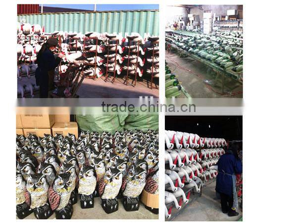 #1019 plastic duck decoy used duck decoy