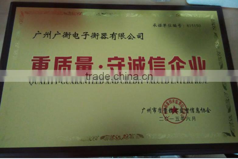 100kg Digital Weighing Platform Scale/ best sell in malaysia platfrom scale